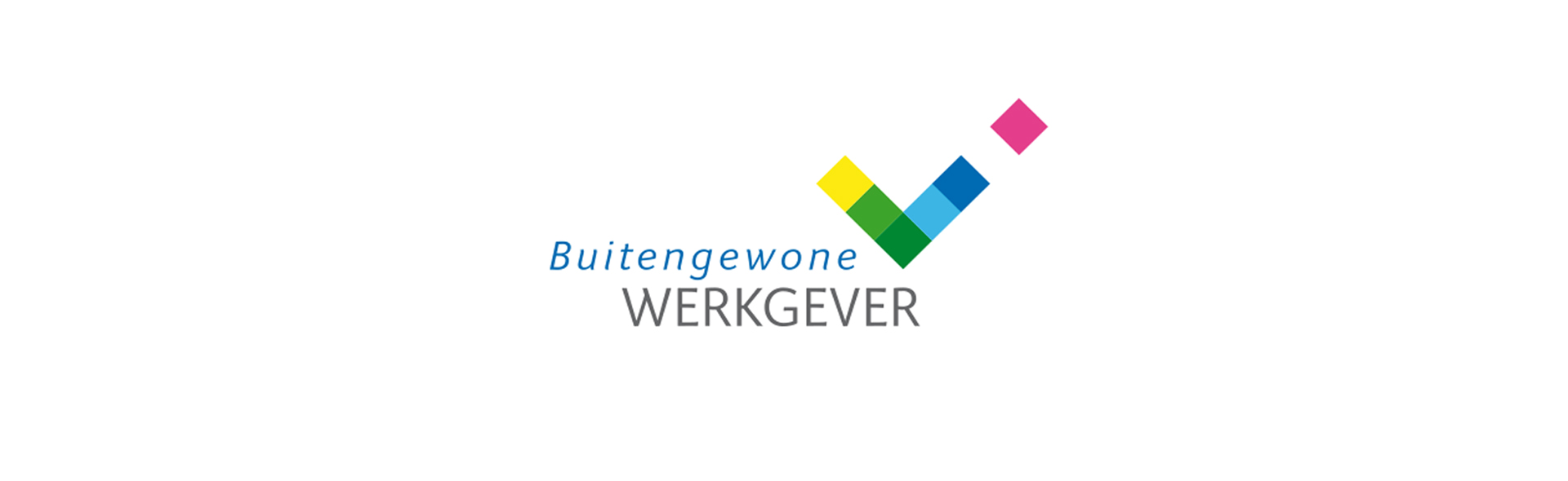 Rigterink bv ijzervlechterij buitengewone werkgever 2016-2017